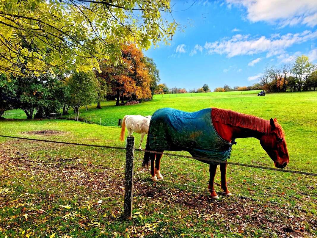 Maison à LA SALVETAT-PEYRALES
