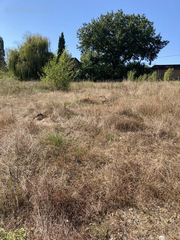Terrain à VILLEMUR-SUR-TARN
