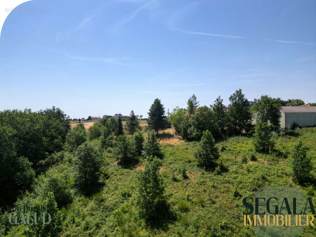 Terrain constructible de 4 526 m2 à Mirandol-Bourgnounac - photo 9