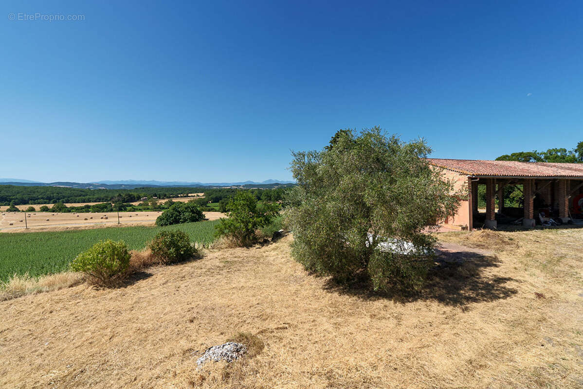 CARCASSONNE - RAZES Corps de ferme T12  976m² (412m² hab.) avec 2 logements, piscine, et dépendances, sur 1 hectare - photo 17