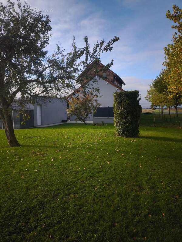 Photo 3 - Maison à ETREILLERS