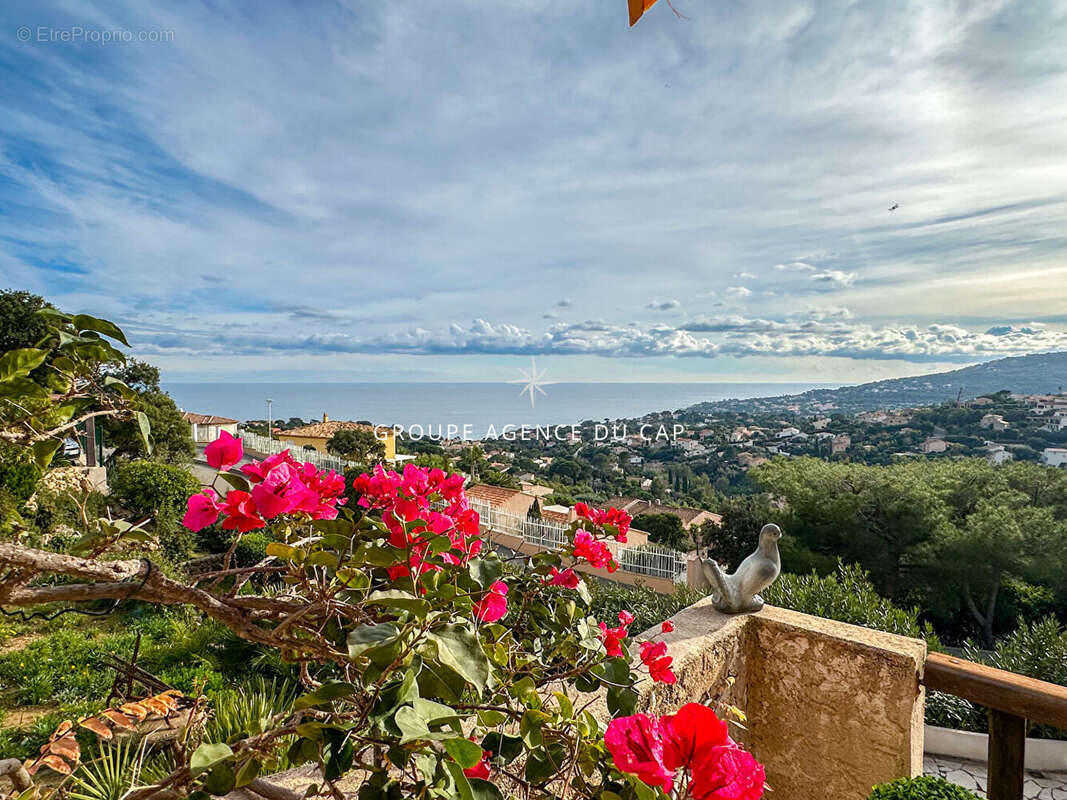 Maison à LES ISSAMBRES