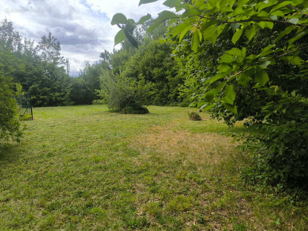 Terrain à VULAINES-SUR-SEINE