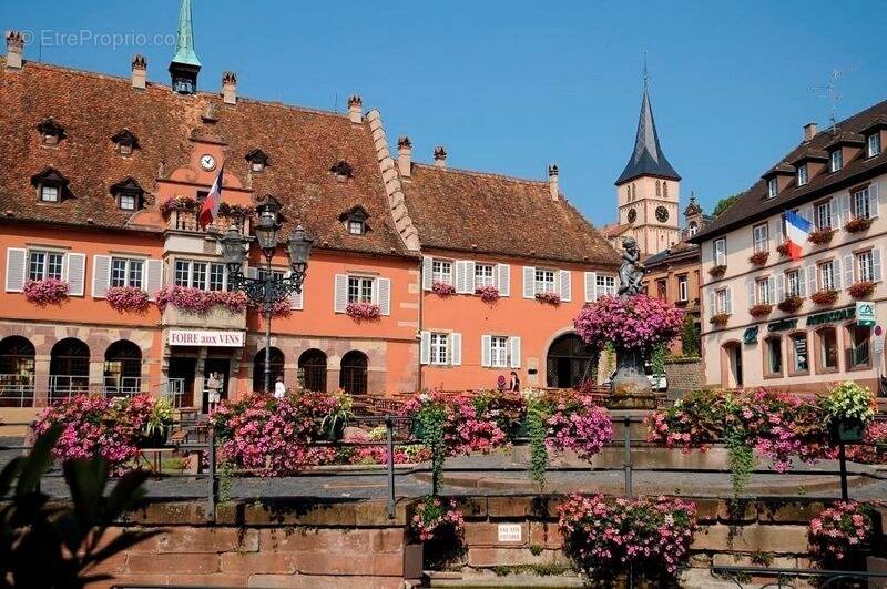 Commerce à OBERNAI