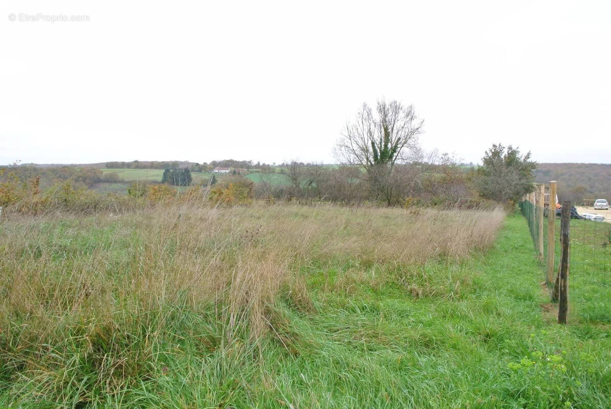 Terrain à CHASSENEUIL