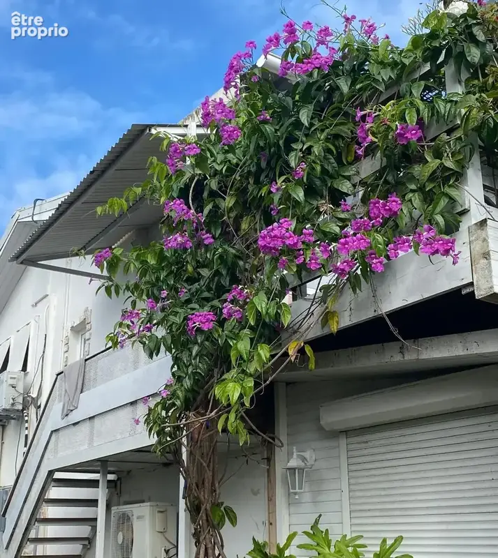 Maison 13 pièces 250 m² à vendre à Baie-Mahault (97122) - photo 8