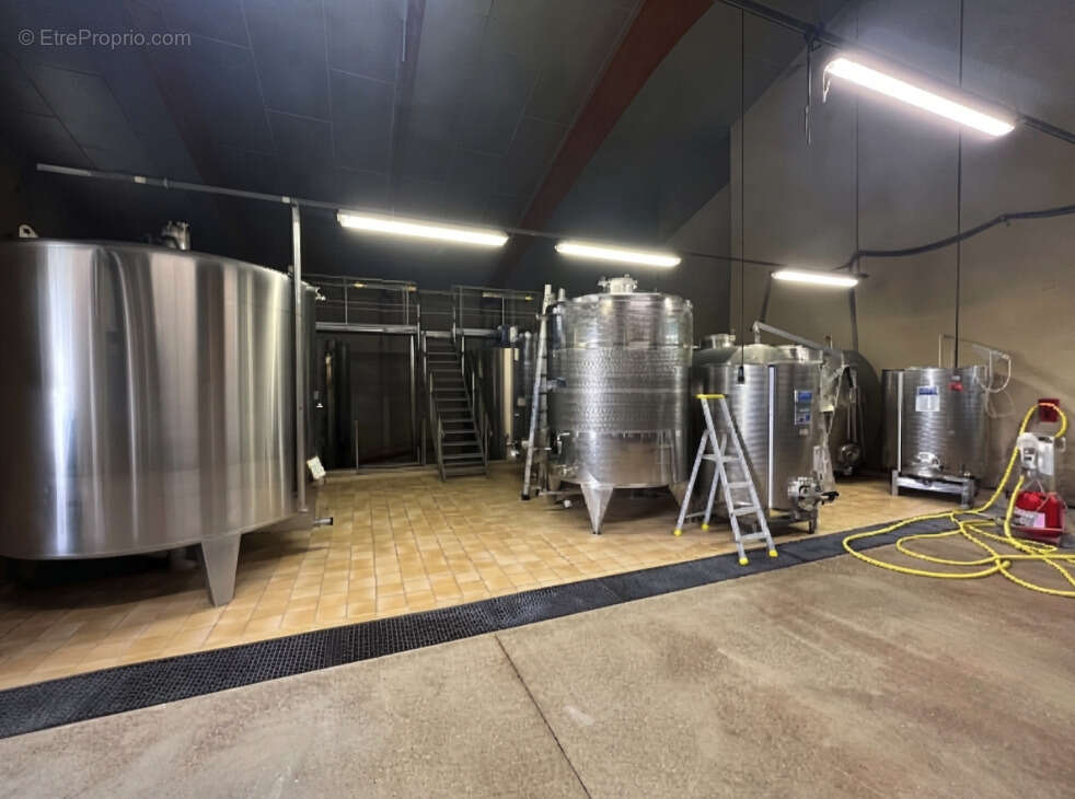 Domaine Viticole - 17 Hectares - AOP Buzet - photo 10