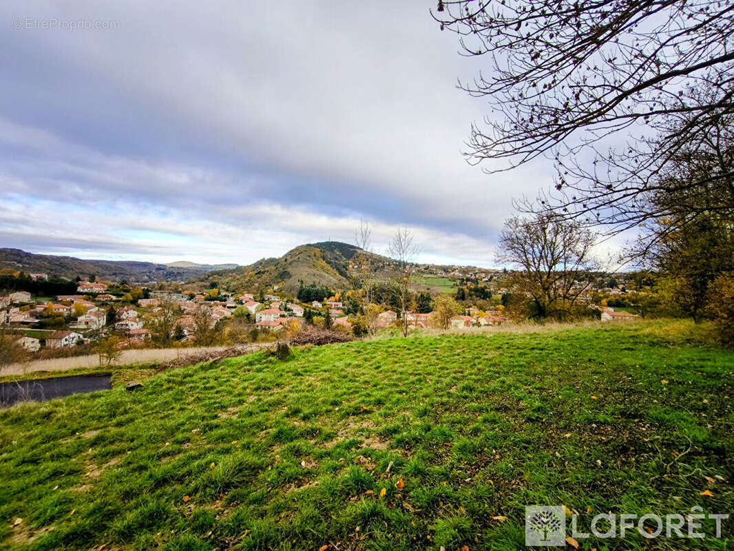 Terrain à ESPALY-SAINT-MARCEL