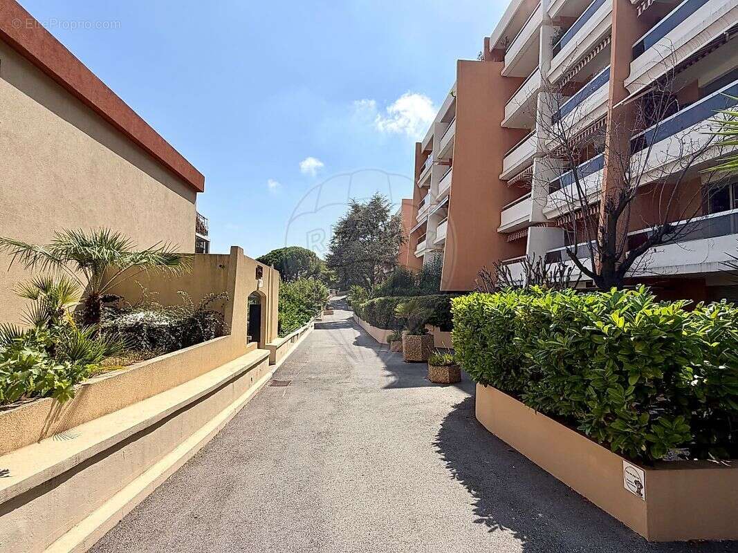 Appartement 0 chambre(s) à vendre - photo 14
