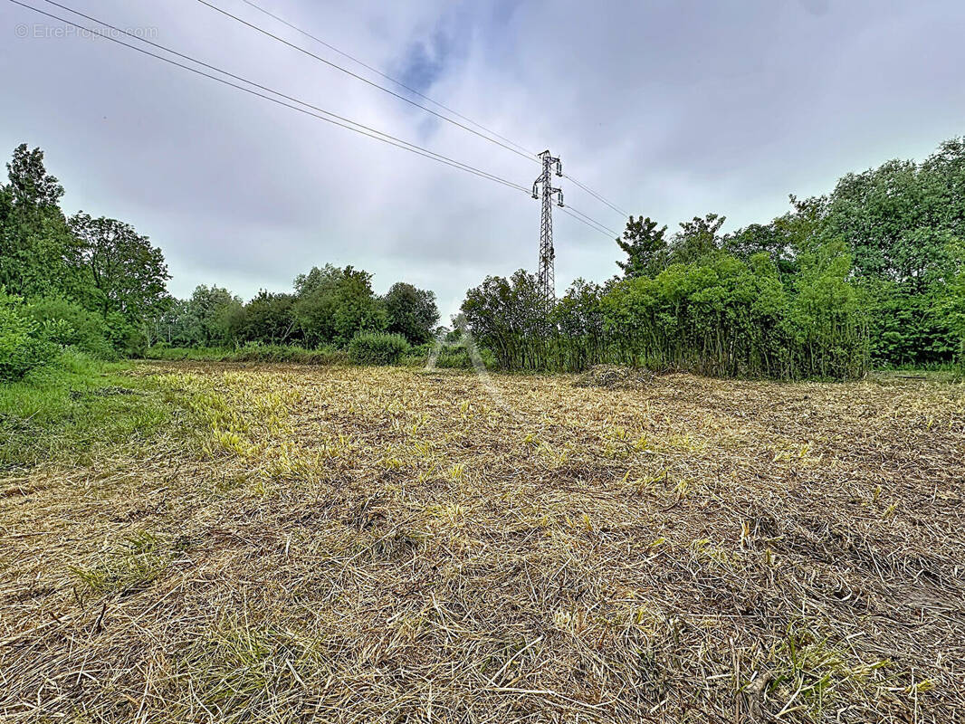 Terrain à COULOGNE