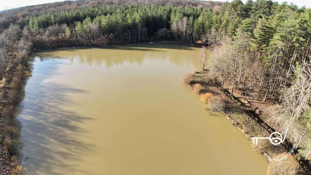 Terrain à NEUNG-SUR-BEUVRON