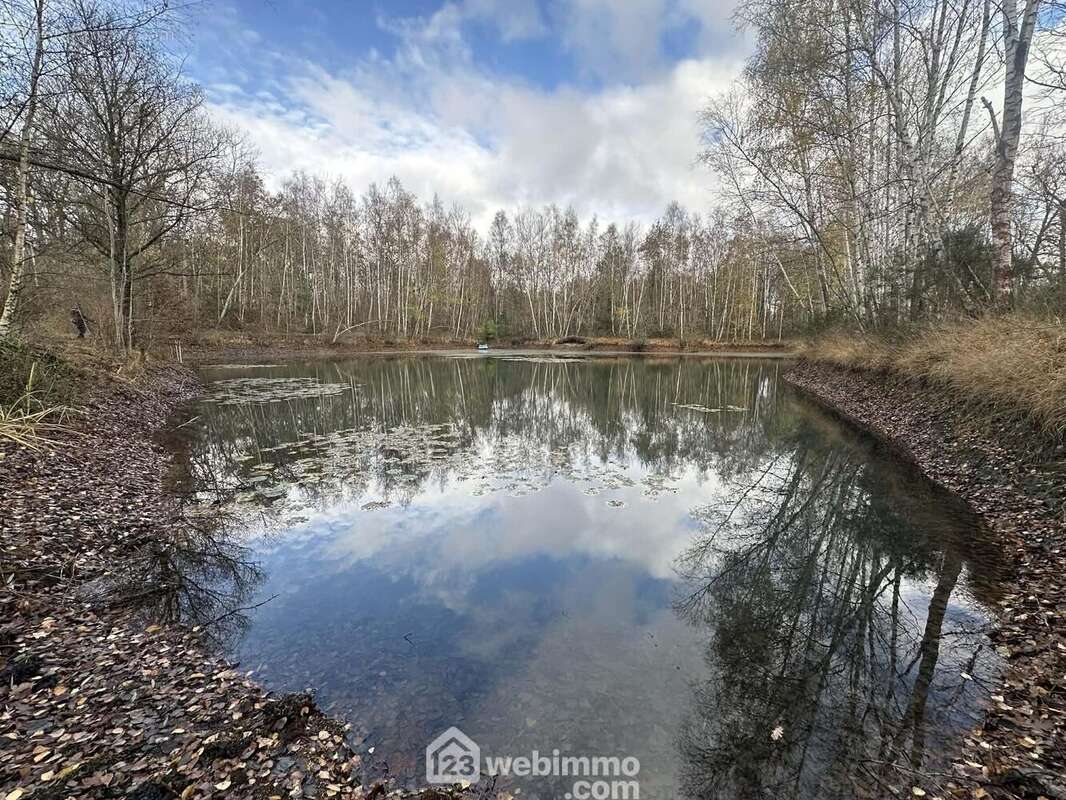 Peuplé de poissons - Terrain à ETOUVELLES