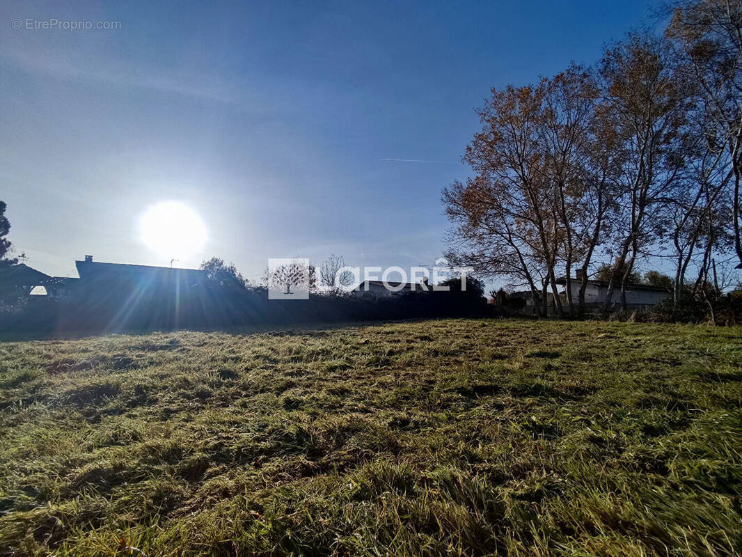 Terrain à PUYDANIEL