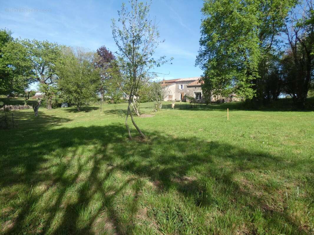 Photo 8 - Maison à MONESTIES