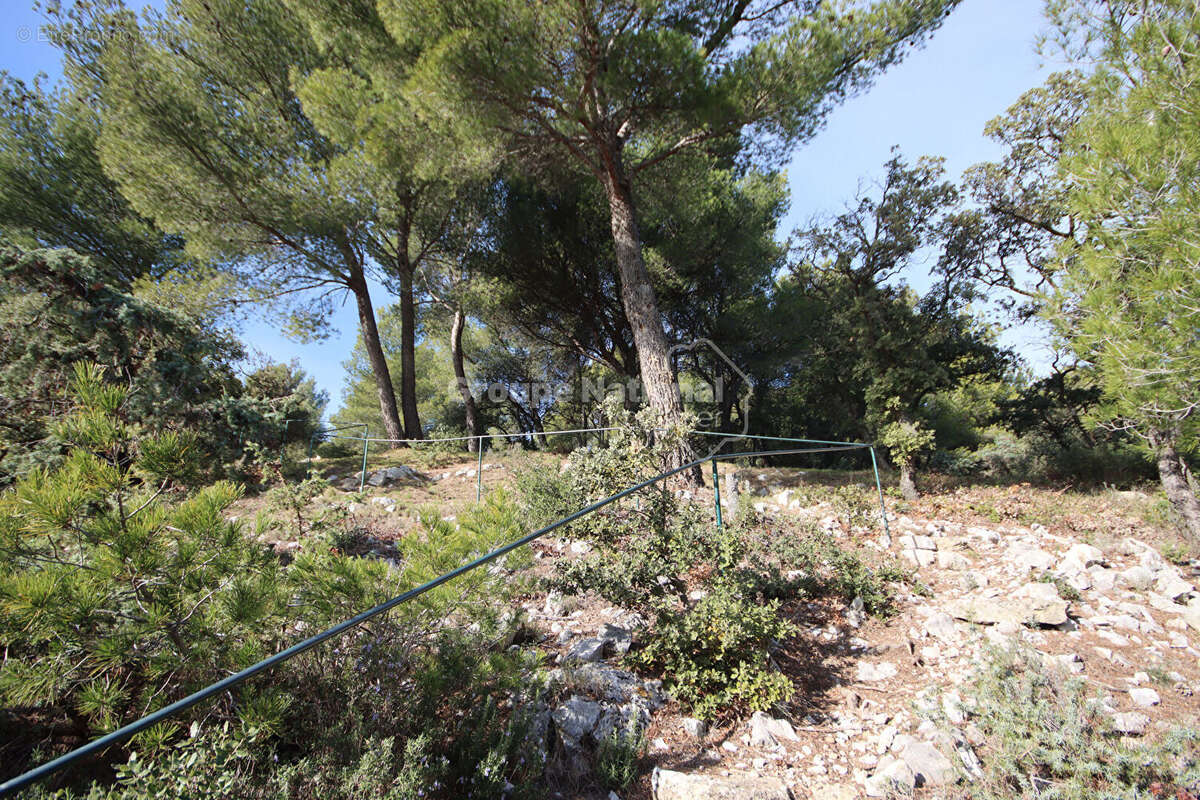 Maison à LE BARROUX