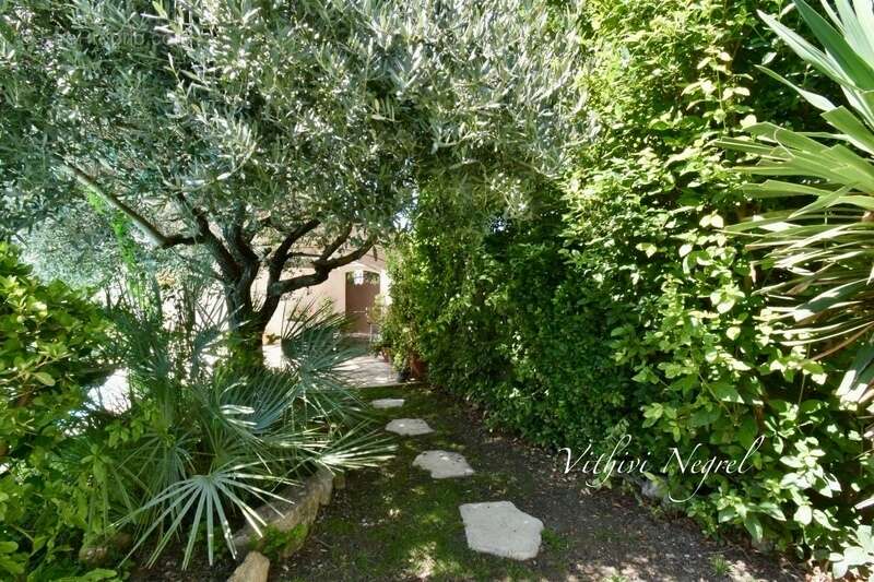 Maison au pied des Alpilles de plus de 200 m2 et 2 dépendances à MOURIES (13) - photo 27