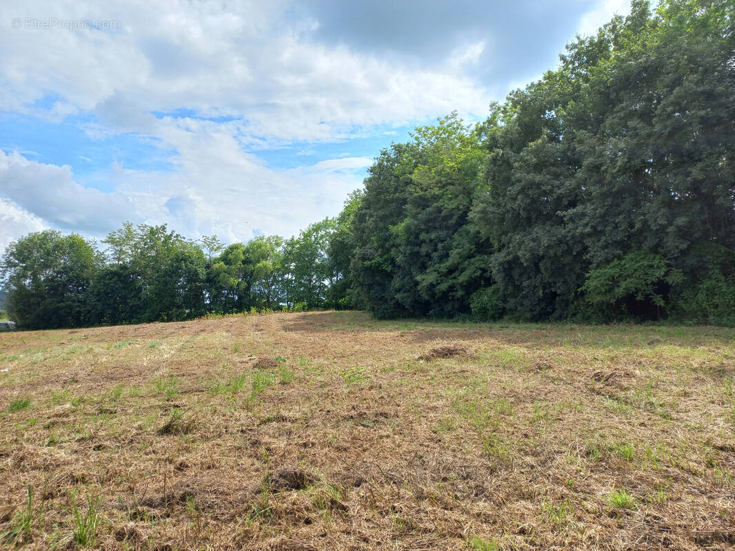 Terrain à CASTELNAU-MAGNOAC