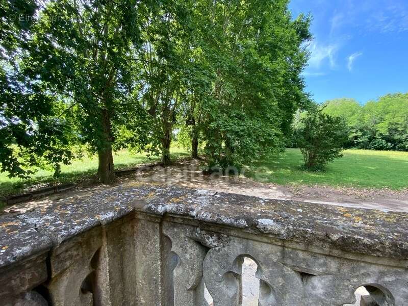 Dpt Gard (30), à vendre dans le Gard, propriété viticole en AOP Côtes du Rhône sur 25 hectares avec Château du XVème siècle - photo 5