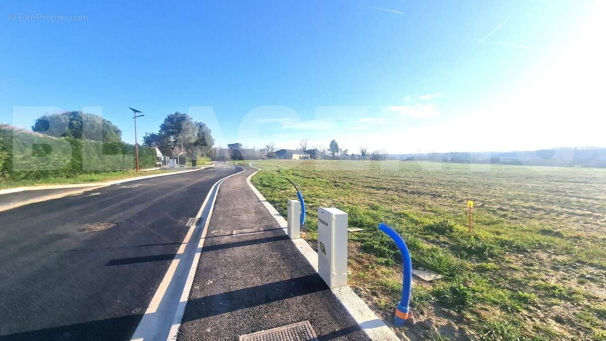 20250217_165256 - Terrain à CASTELSARRASIN