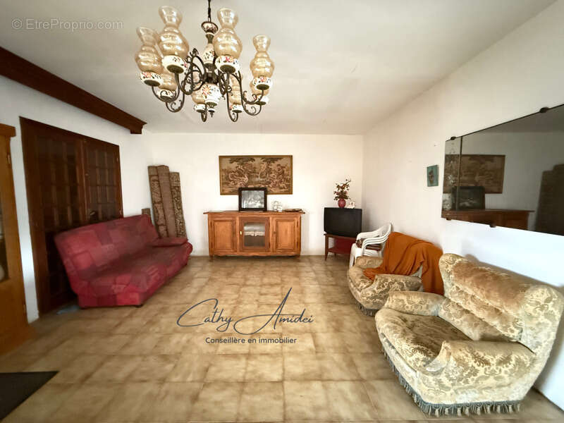 SAGONE (Corse) : Propriete à vendre, maison T4 + dépendance avec 2 appartements T1, sur terrain plat de 5000m2 - photo 8