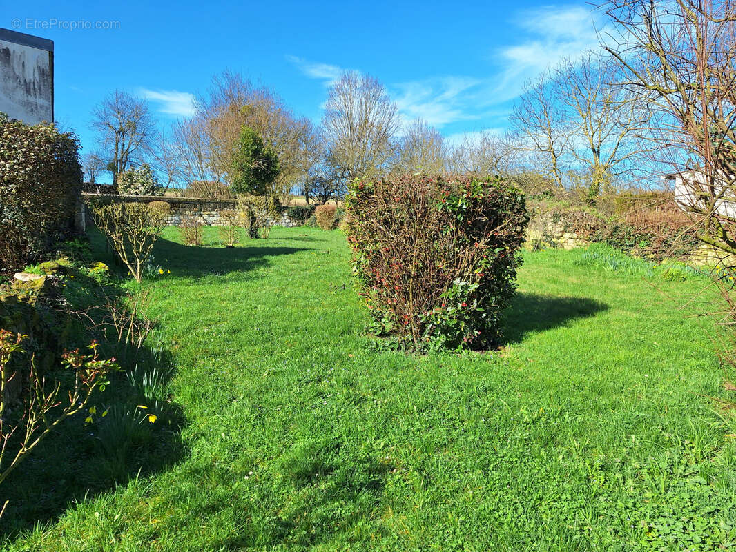 Maison à FONTEVRAUD-L'ABBAYE