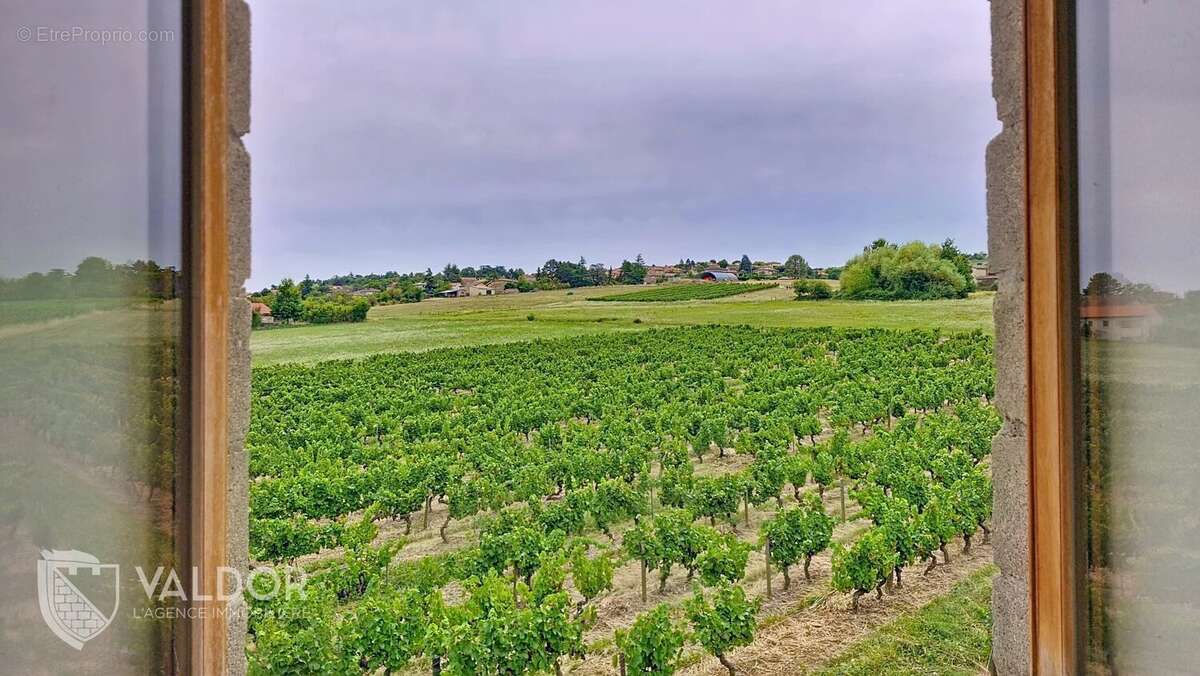 Longère rénovée à Gleizé, 54 m², vue vignes avec beau potentiel - photo 3