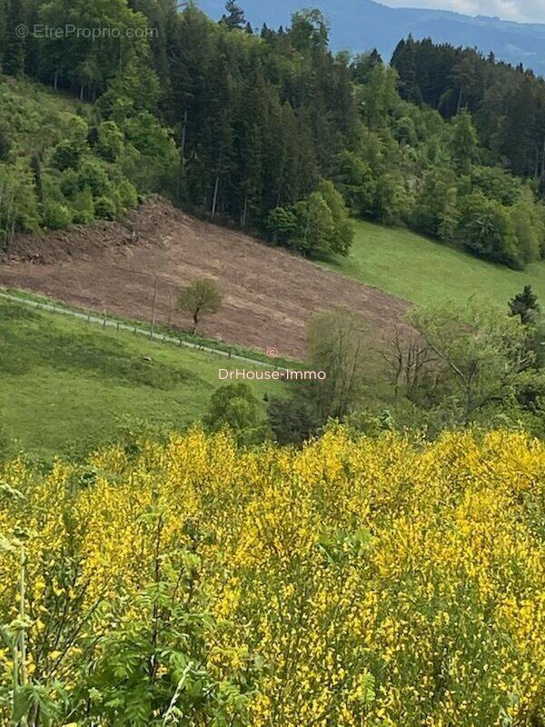 Terrain à AMBERT