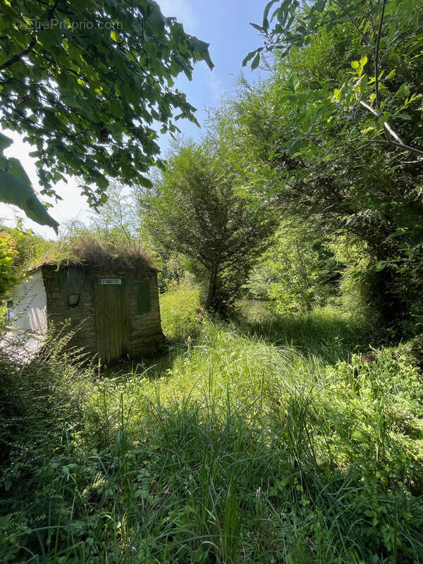 Terrain à FLIXECOURT