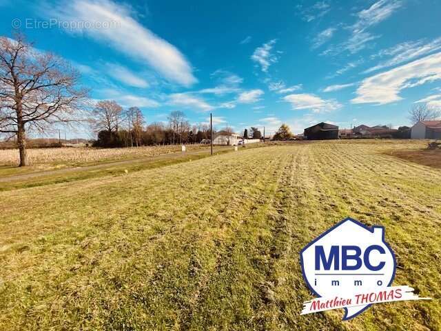 Terrain à LA BOISSIERE-DU-DORE