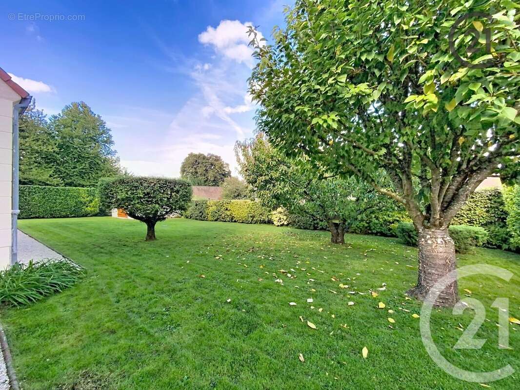 Maison à COLLEMIERS