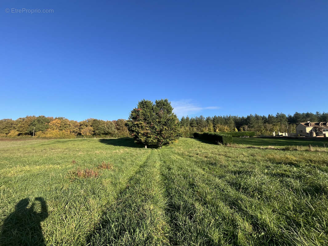 Terrain à AVOISE