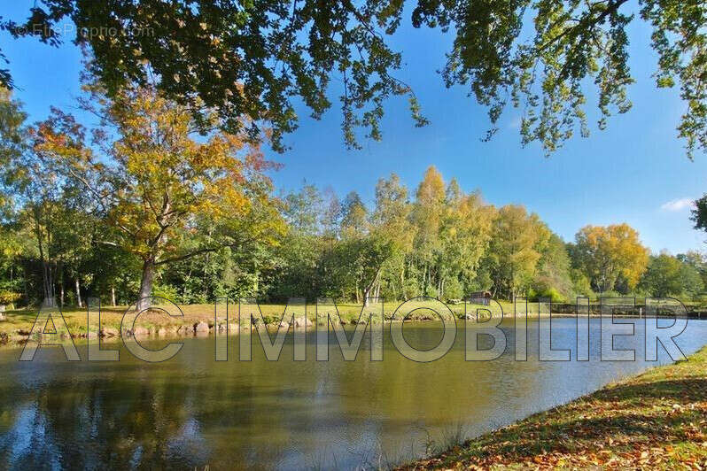 Terrain à TINCHEBRAY