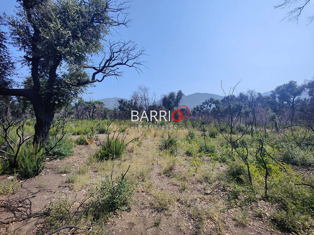 Terrain à SAINT-ANDRE