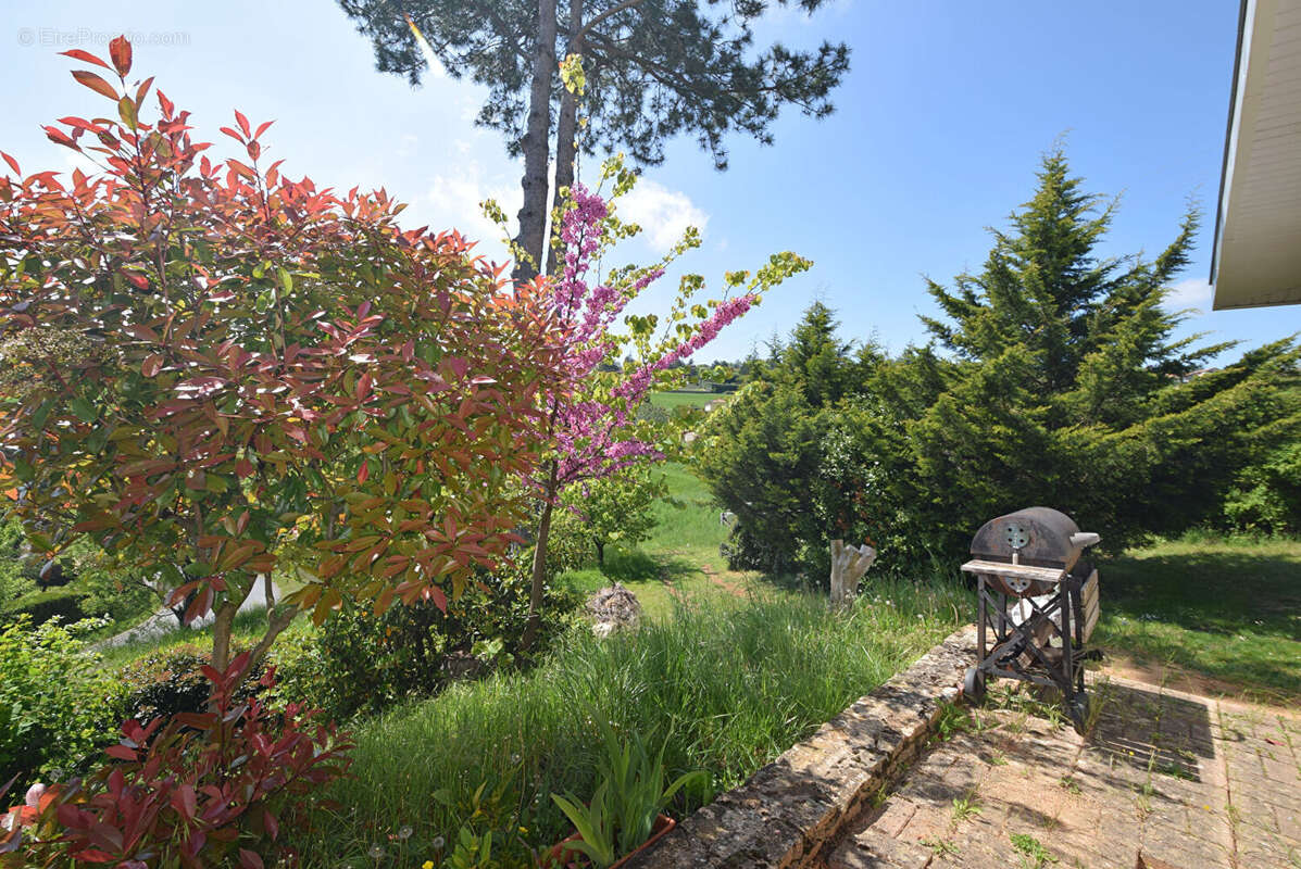Maison à SAINT-JEAN-DES-VIGNES
