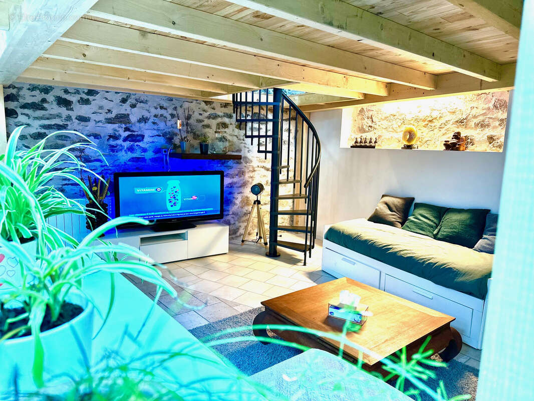 Magnifique loft, rénové avec goût + commerce avec vitrine - photo 5