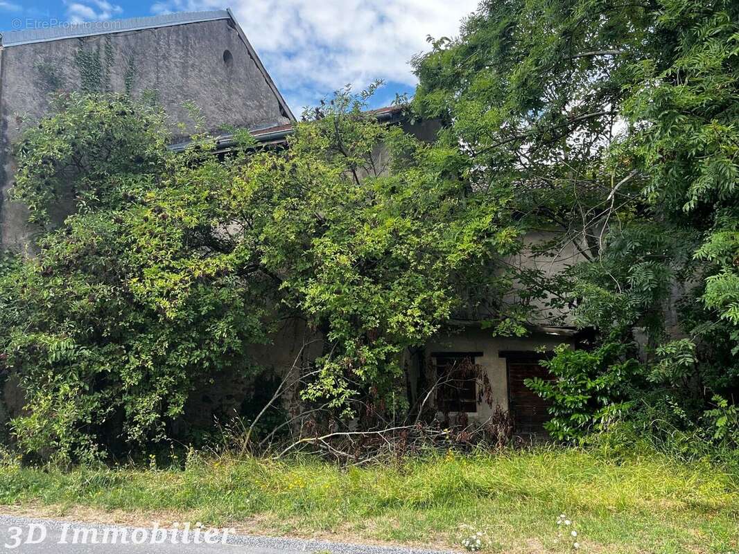 Photo 5 - Maison à BALLAISON