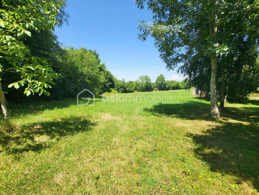 Maison T8 197 m2 terrain 1 ah - photo 13