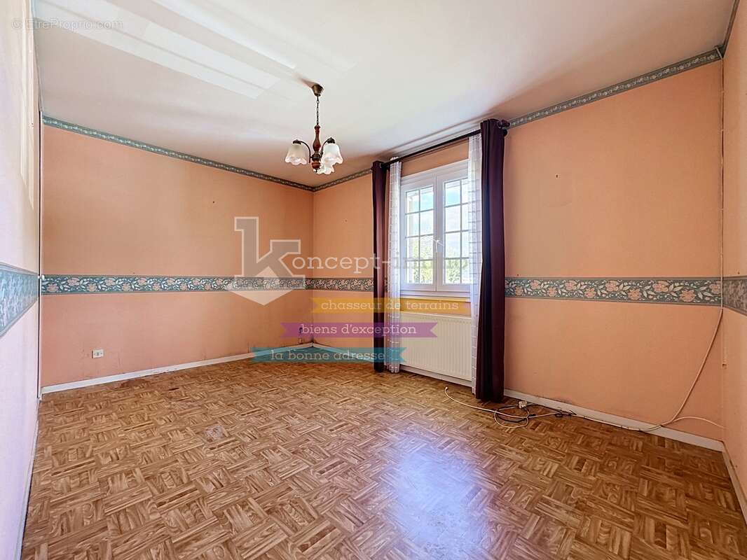 n°5