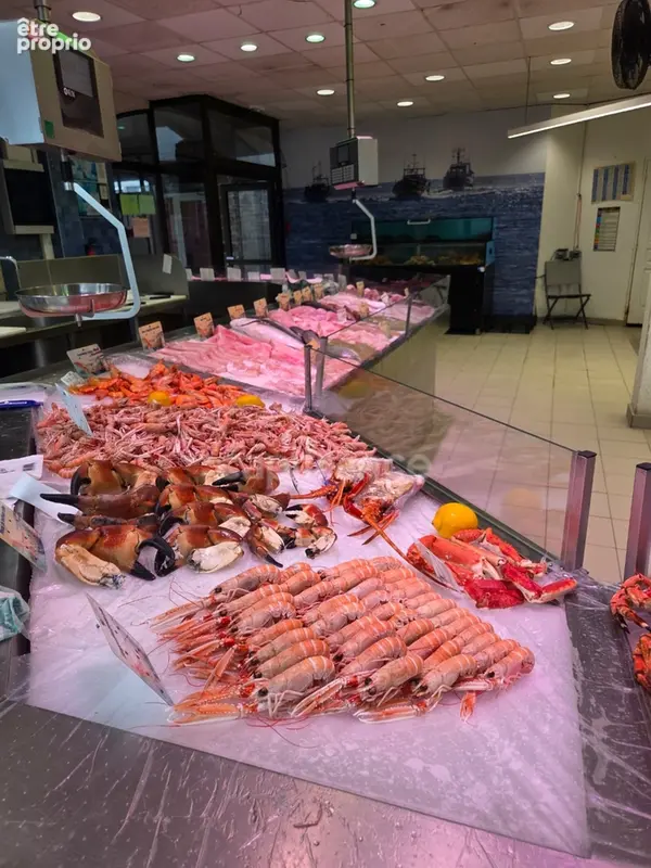 Poissonnerie à vendre QUIMPER (29) - photo 2