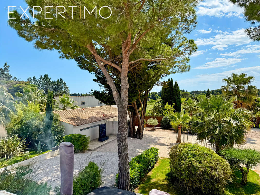 Propriété de 457 m2 + Piscine avec Pool House + 4 garages sur 5500 m2. - photo 24