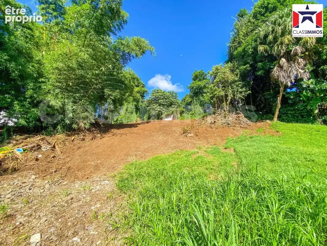 Terrain 1 882 m² à vendre à Le Lamentin (97232) - photo 4