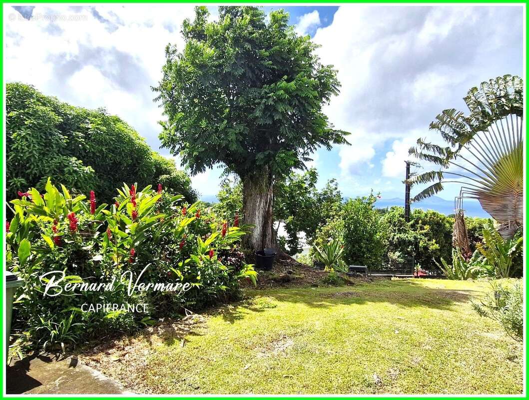 Maison vue mer et les Saintes - 7 pièces - 4 chambres - 130 m² sur terrain 1000m² - photo 7