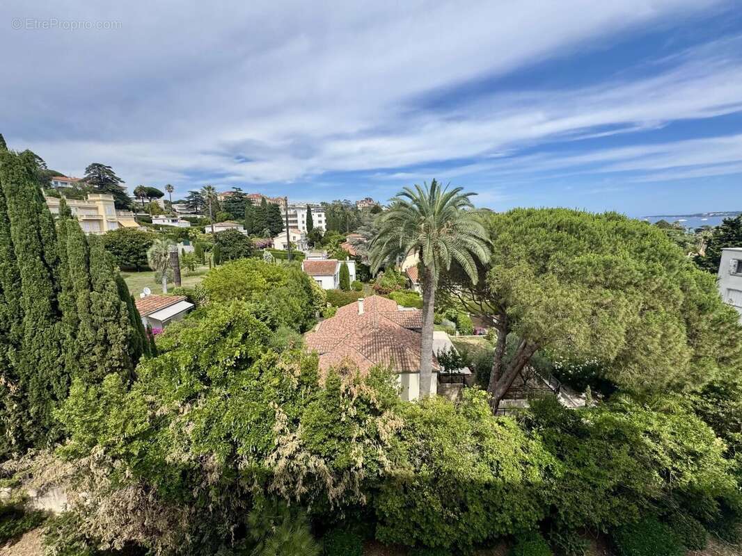 Cannes Vente 3 pièces à 2 pas des plages - photo 3