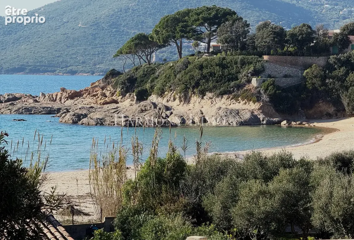Photo Maison à Propriano au prix de 415 000€
