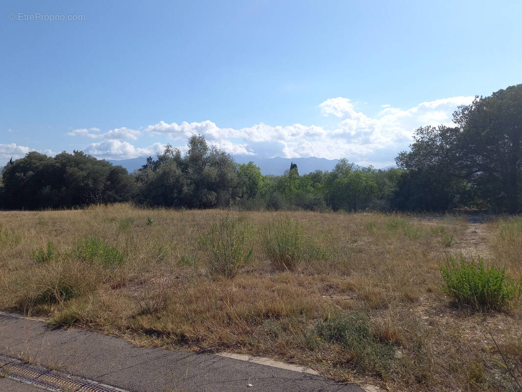 Terrain à PERPIGNAN