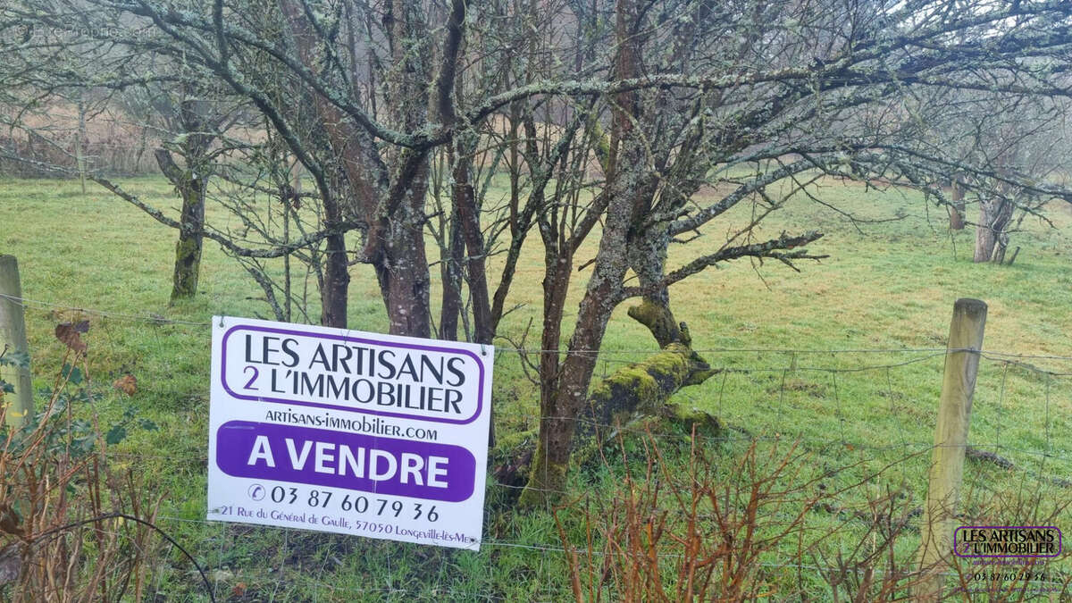 Terrain à ROZERIEULLES