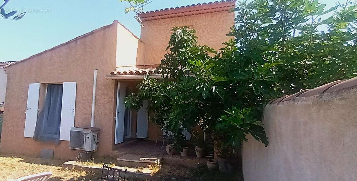 Photo 5