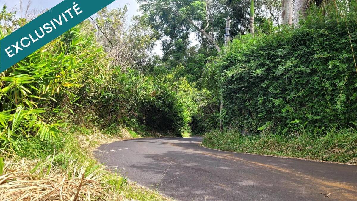 Photo 1 - Terrain à SAINT-JOSEPH