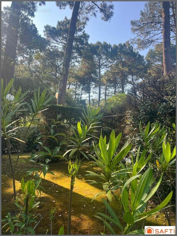 Photo 9 - Maison à LACANAU