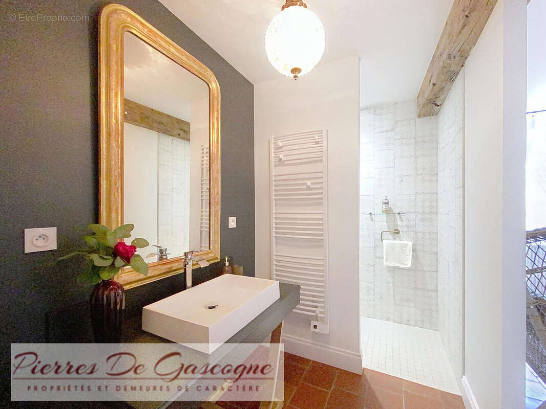 Salle d&#039;eau rez - Maison à VIC-FEZENSAC